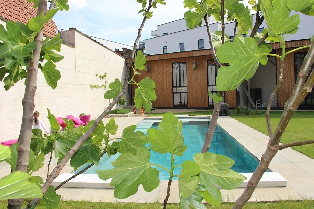 ***** Bed & Breakfast Koto Garden Suites Antwerpen België